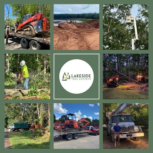 Land Clearing