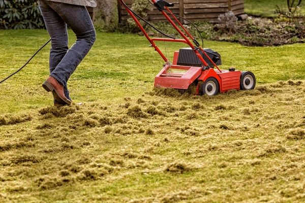 Lawn Dethatching