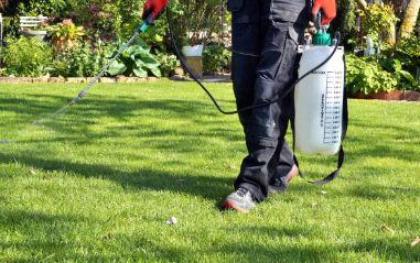 Weed Control