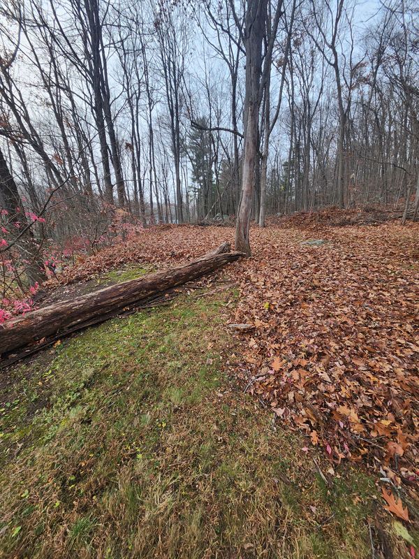 Fall Cleanups