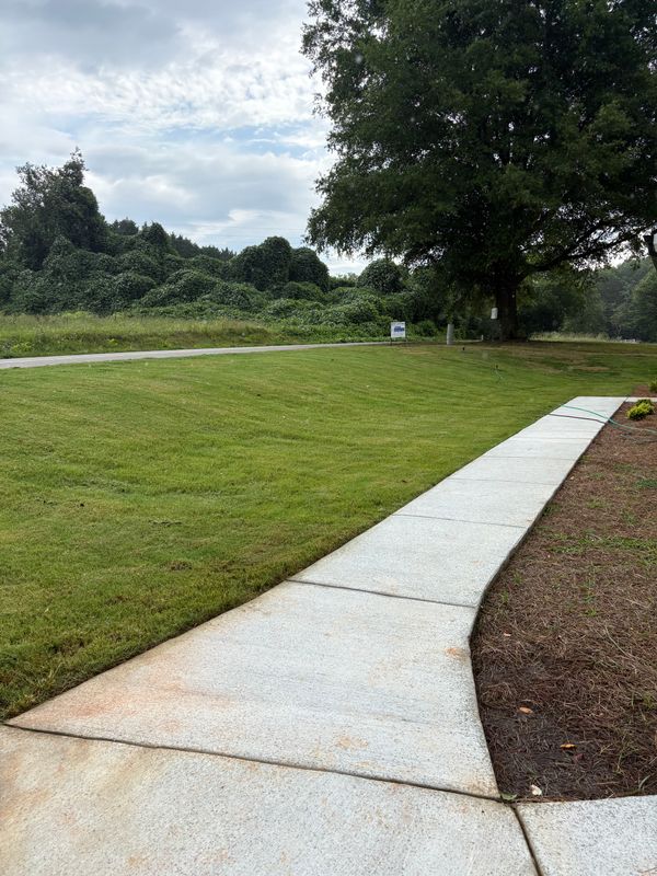 Sod Installation
