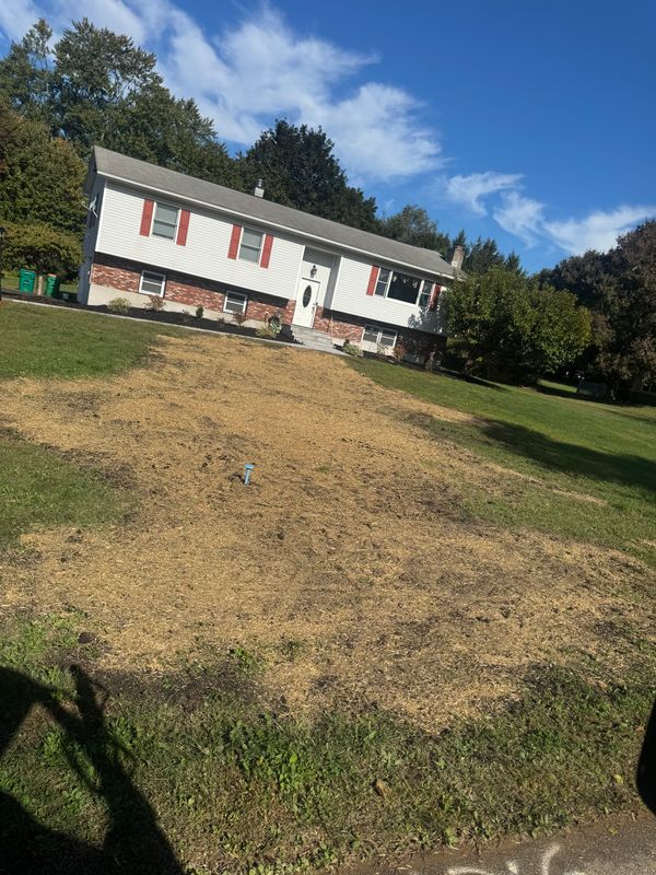 Landscaping