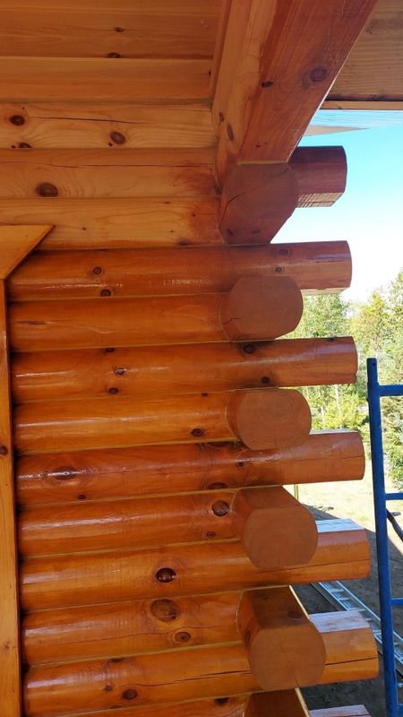 Staining and Sealing Projects