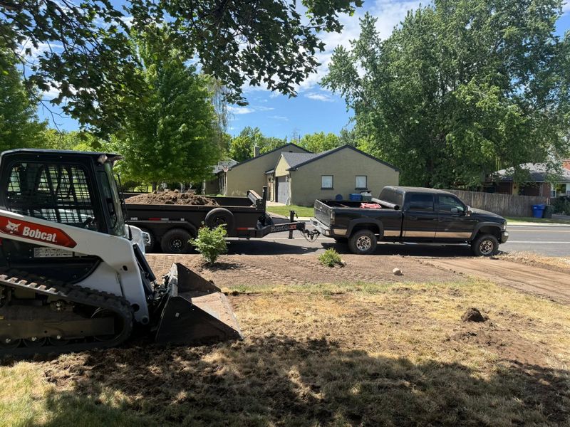 Excavation
