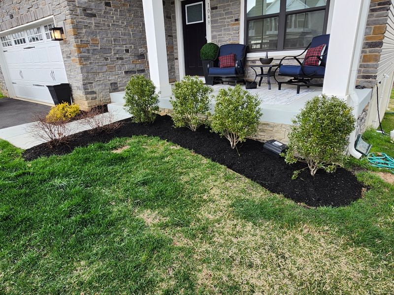 Lawn Care