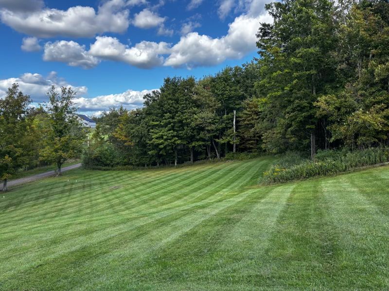 Lawn Maintenance