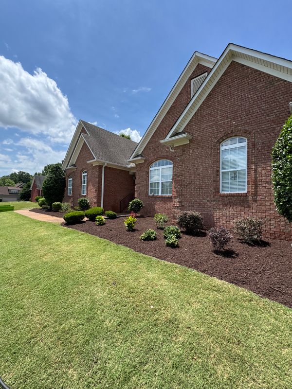 Landscape Design and Installation