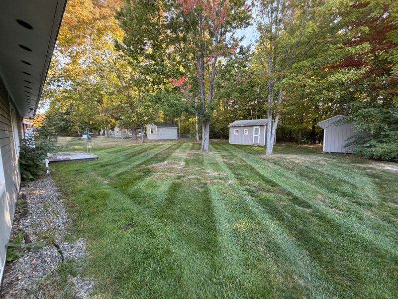 Lawn Maintenance