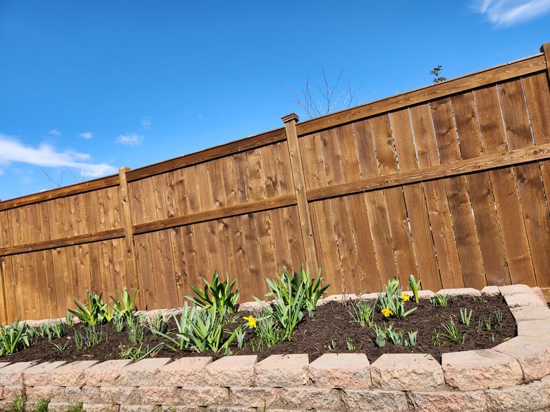 Landscaping 