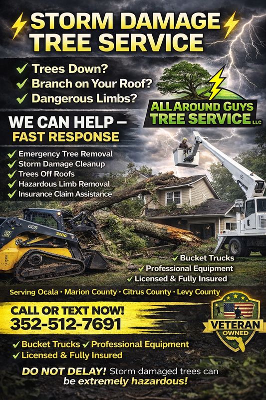 Tree Removal