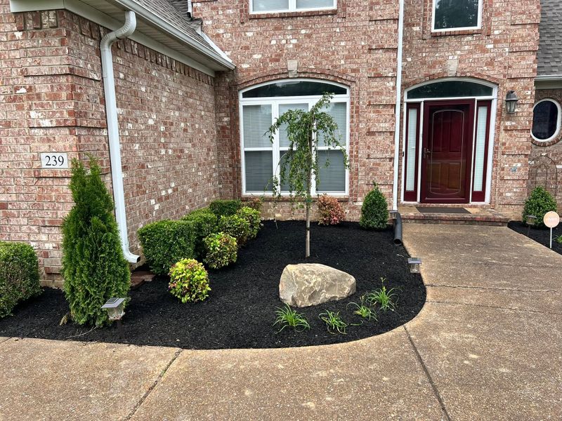Lawn Care and Maintenance