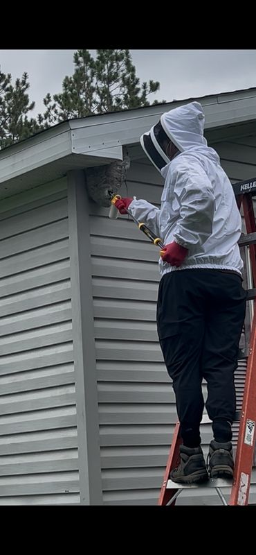 Pest Control Services