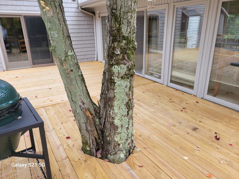 Exterior Painting gallery