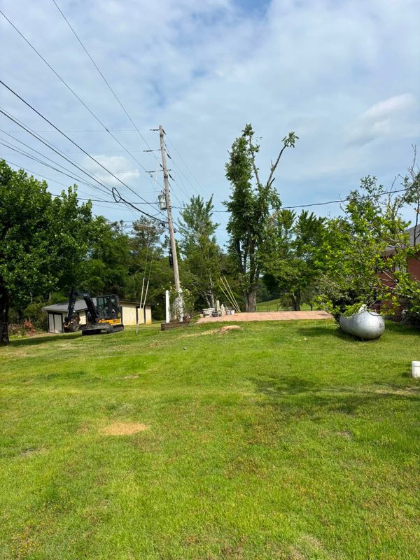 Land Clearing