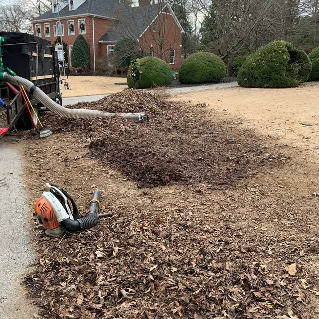 Lawn Care and Maintenance
