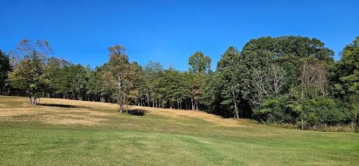 Land Clearing