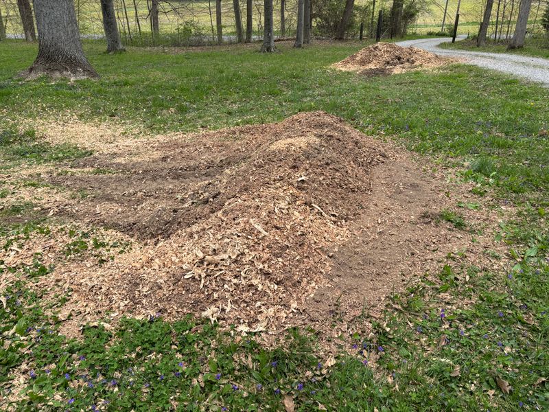 Stump Removal