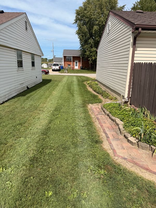 Lawn Care and Maintenance