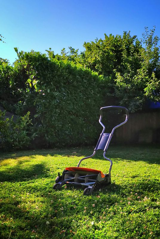 Lawn Maintenance