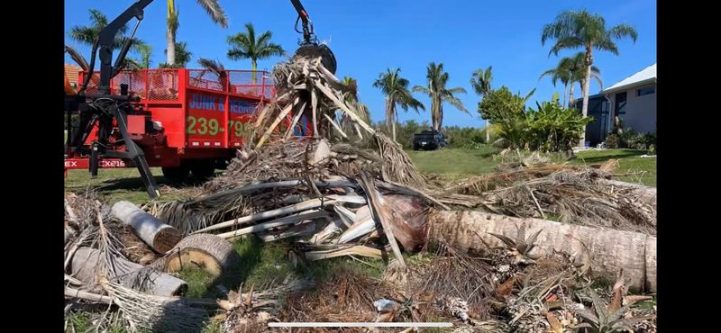 Yard Waste Hauling