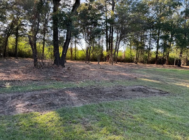 Land Clearing