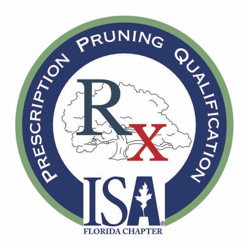 Tree Pruning & Removal