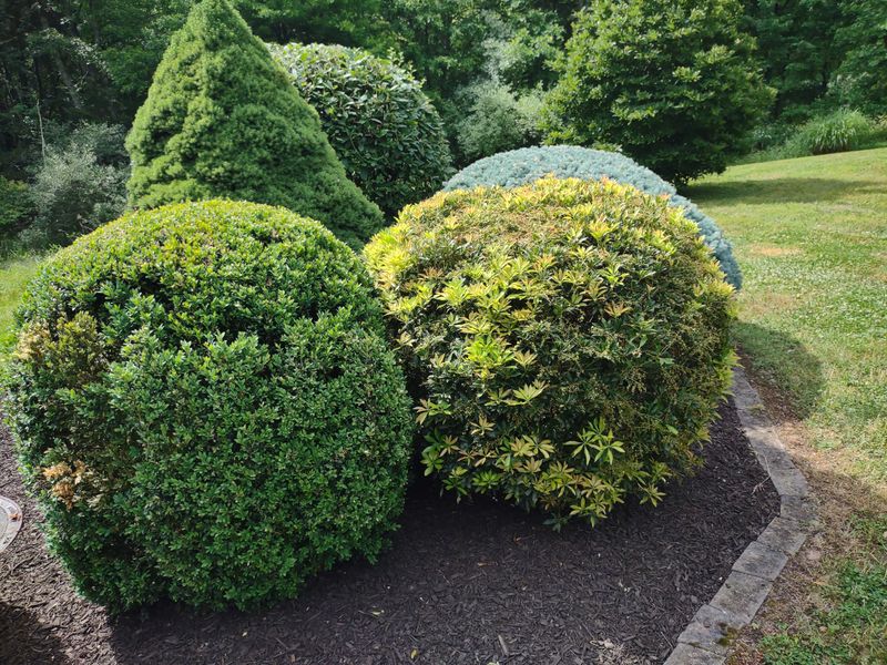 Mulch