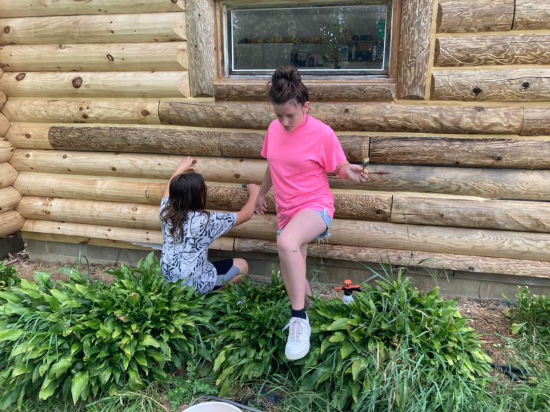 Reviving Rustic Charm: Log Home Restoration Excellence