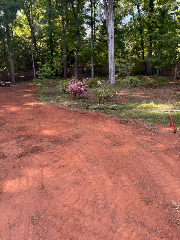 Landscape Design
