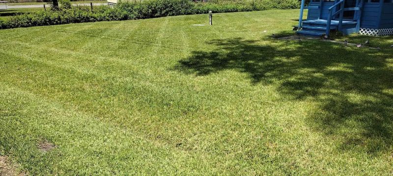 Lawn Care