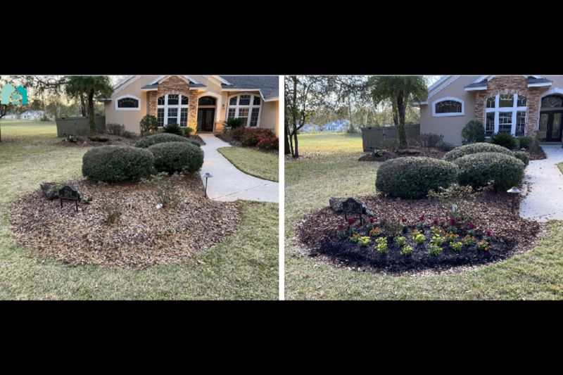 Lawn and landscape