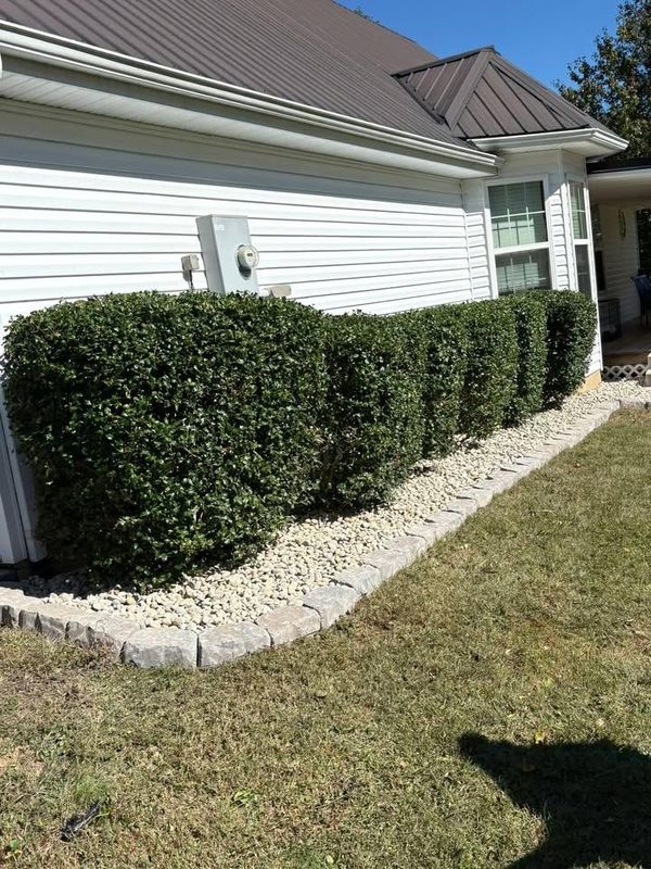 Curbing