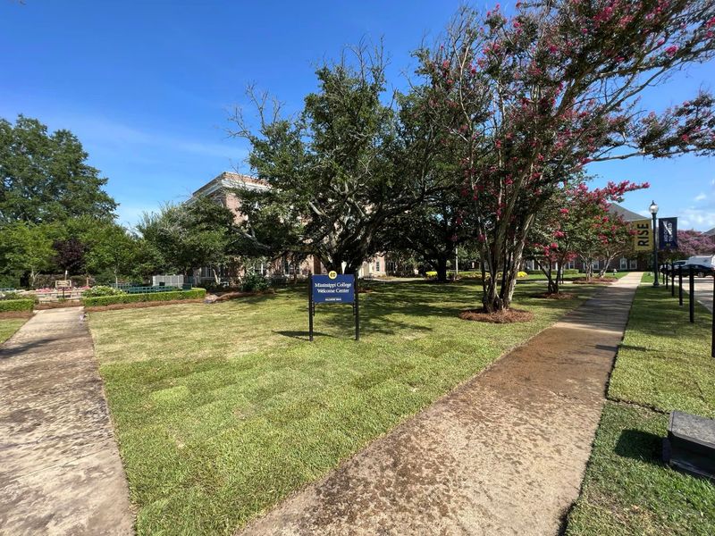 Landscaping