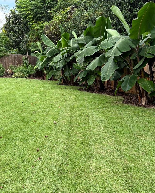 Landscaping