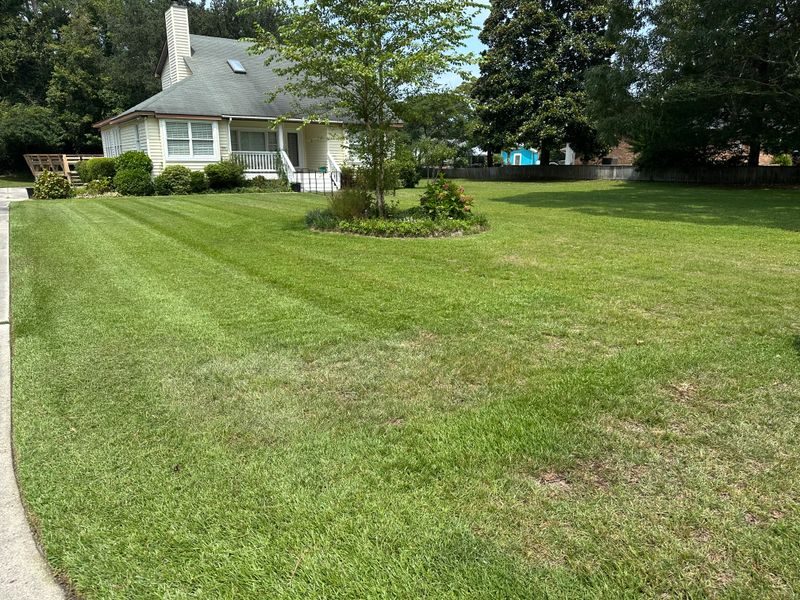 Mowing