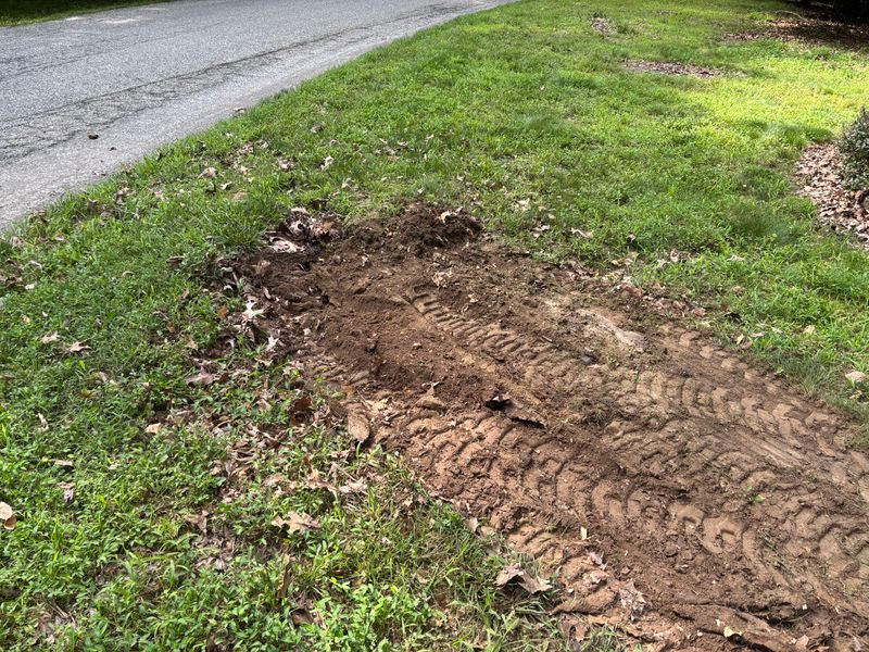 Stump Removal