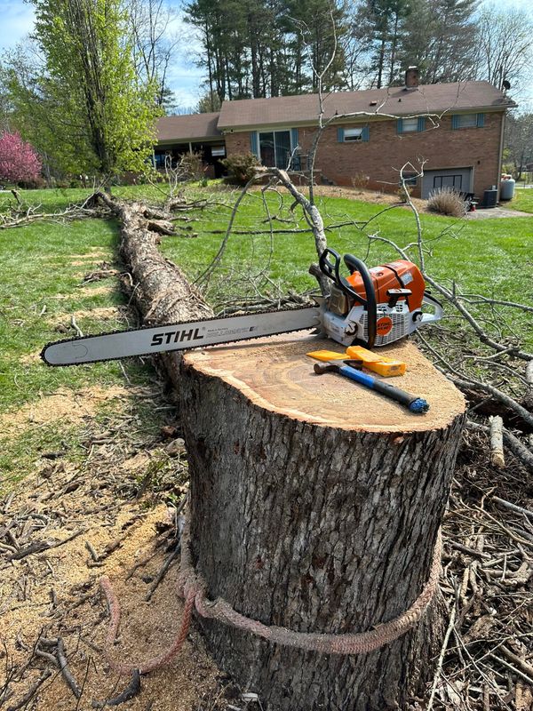 Tree Services