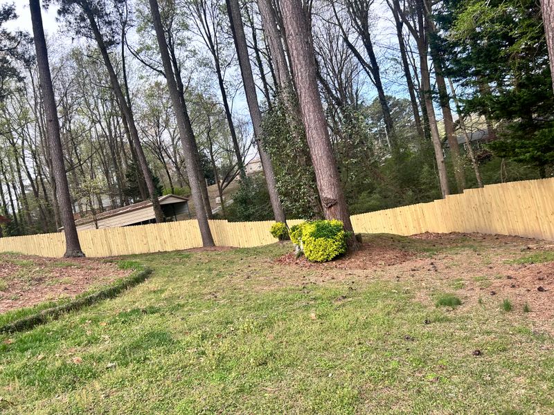 Fencing Repair & Installation