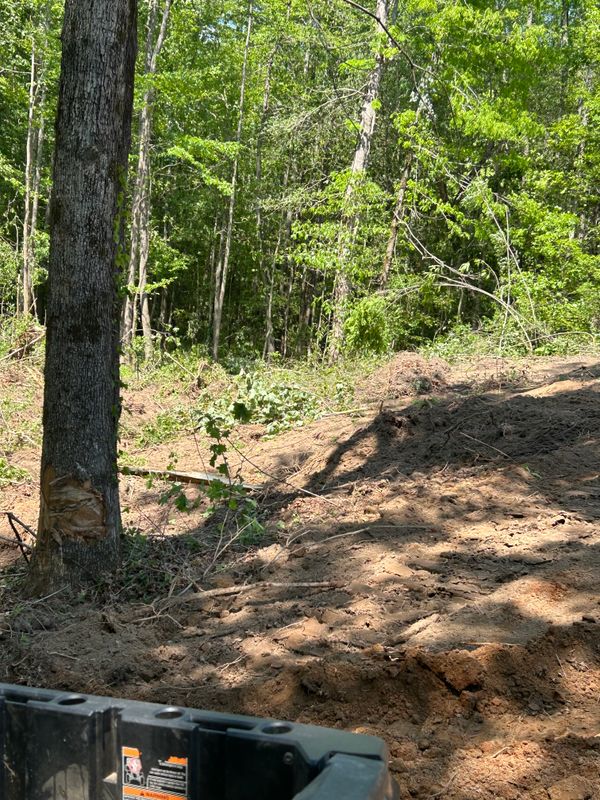 Land Clearing