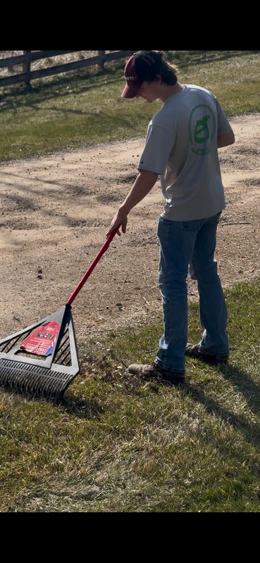 Lawn Mowing
