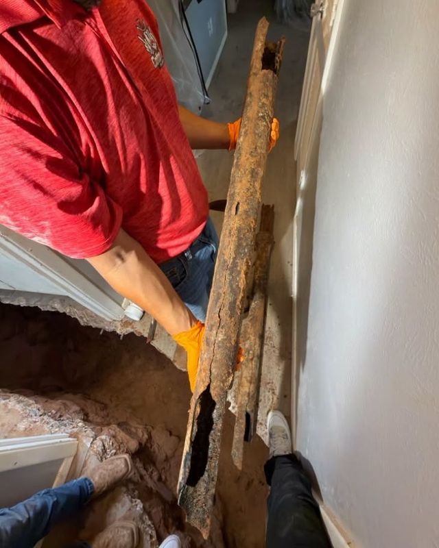 Garbage Disposal & Installation