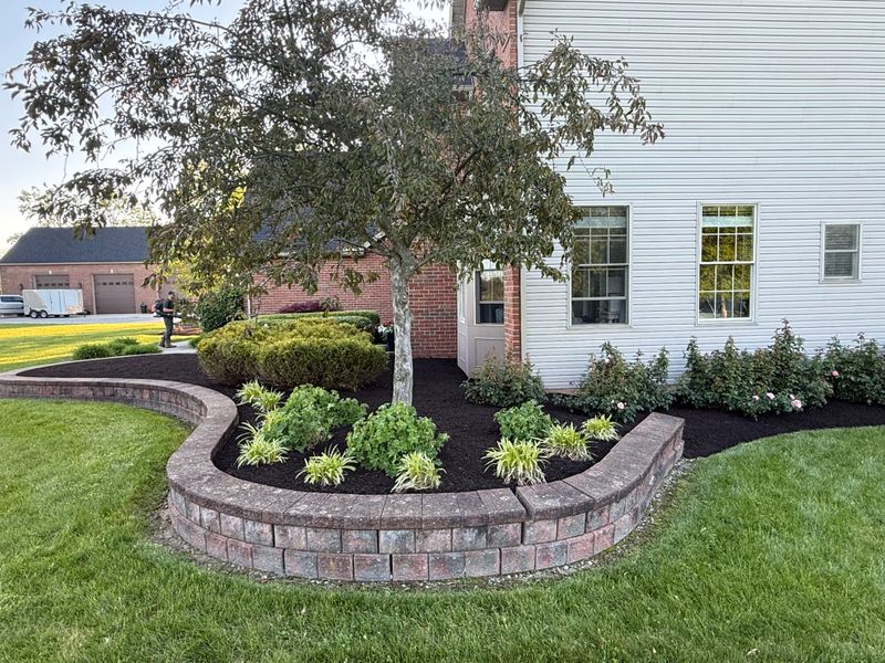 Garden bed Installation