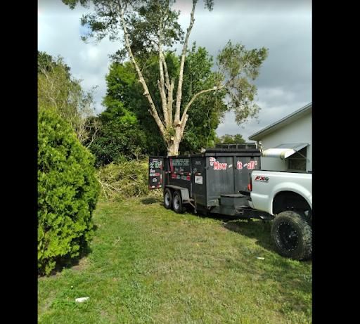 Stump Removal
