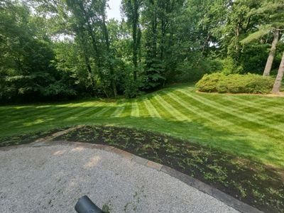 Lawn Maintenance