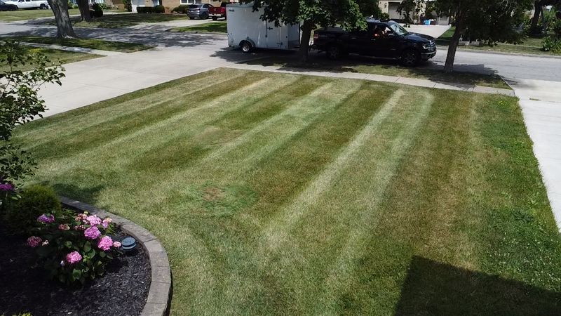Lawn Maintenance