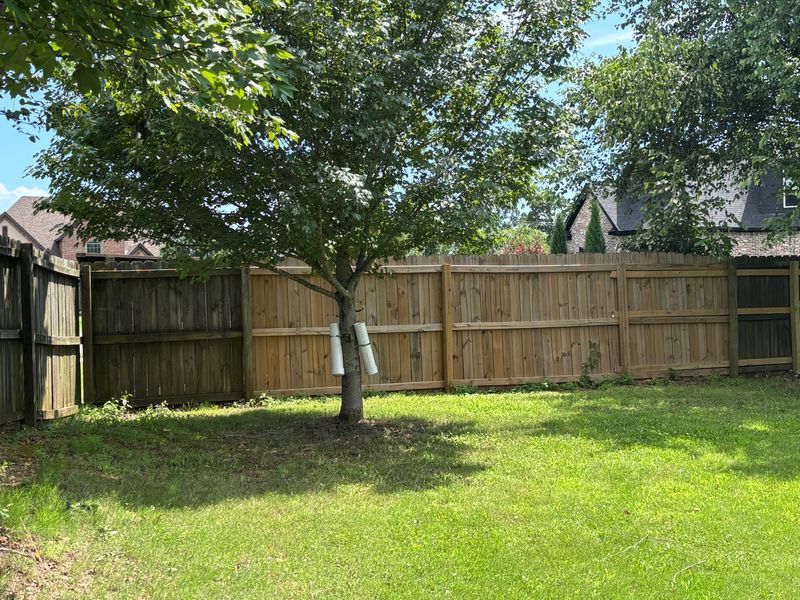 Lawn Maintenance