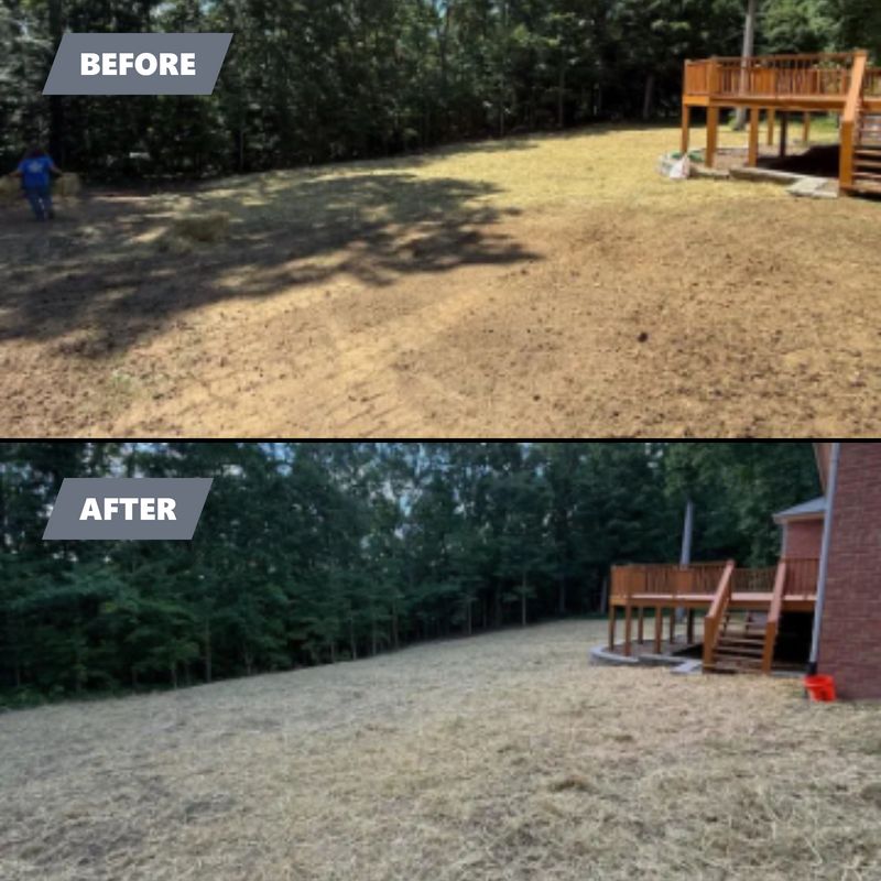 Lawn Maintenance