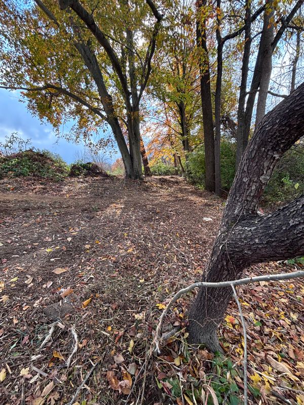 Forestry Mulching