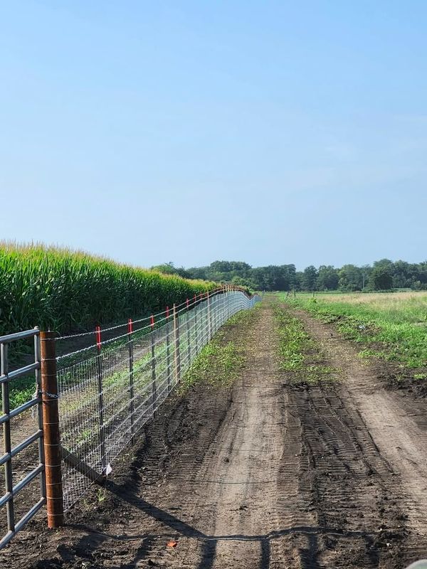Fence Installation