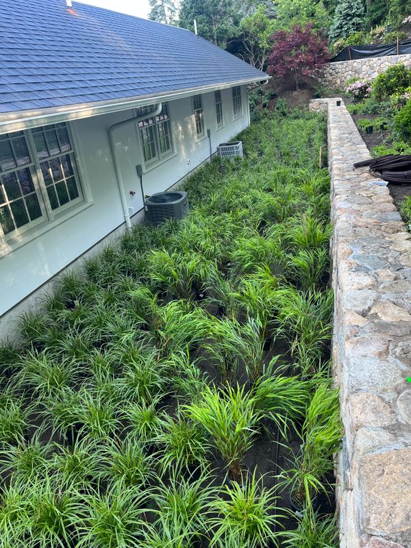 Hardscape Installation